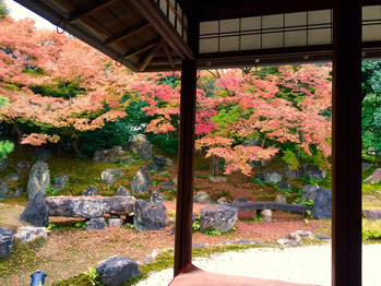 紅葉in高台寺_20161211_2